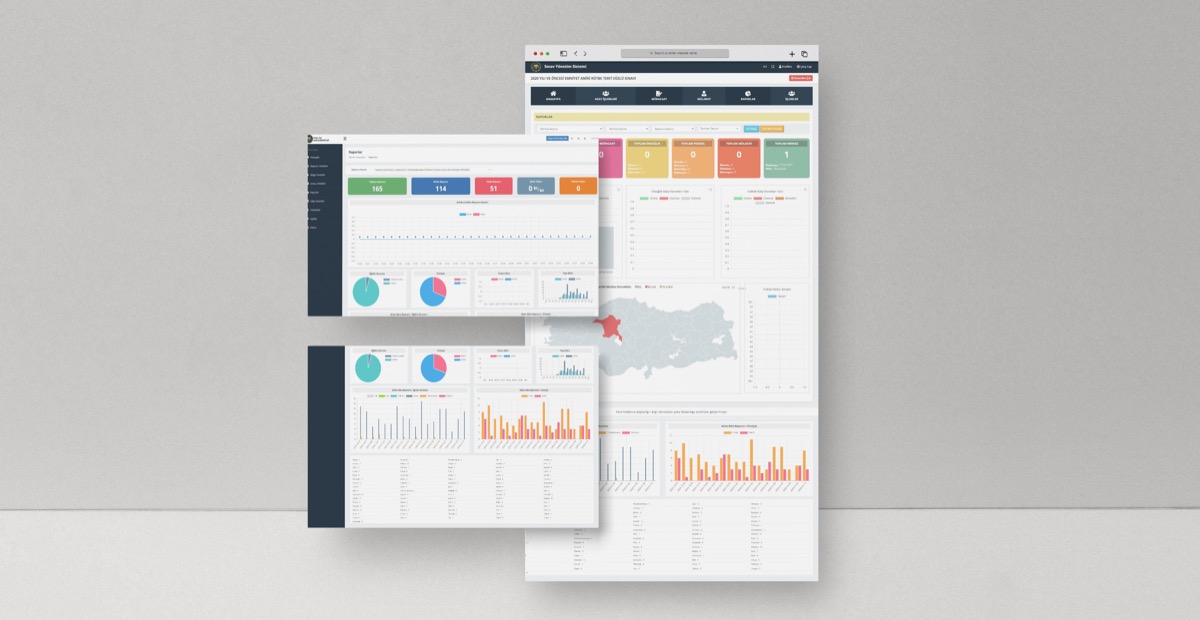 Big Data Reporting Systems